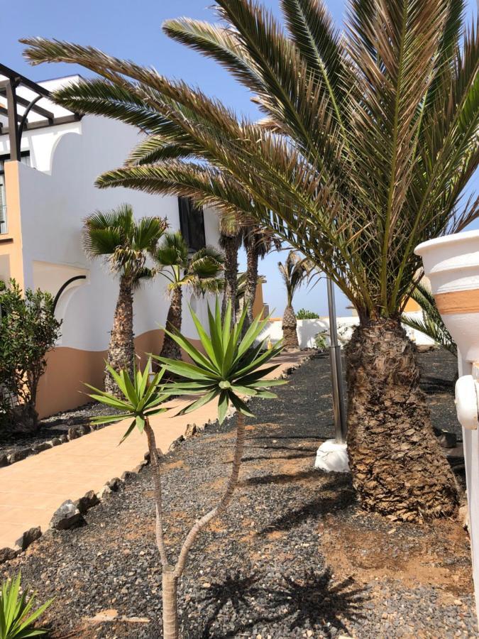 Apartamento Life Complex Amaya Fuerteventura Costa De Antigua Kültér fotó